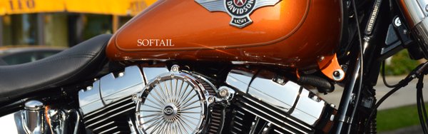 Hier geht es zu den CSC Produkten für Harley-Davidson Softail Modelle